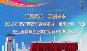 閔行雛鷹計劃大揭秘 信息系統(tǒng)集成服務(wù)下的青年創(chuàng)業(yè)者嶄露頭角之道