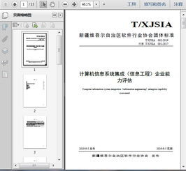 計算機信息系統(tǒng)集成服務(wù)及其企業(yè)能力評估